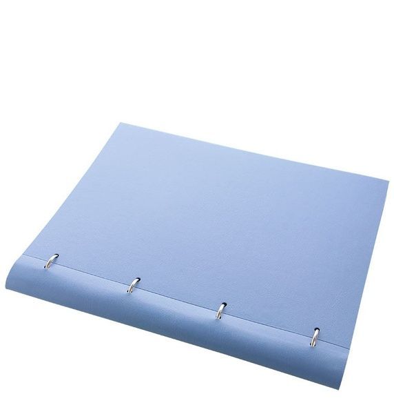 ОрганайзериОрганайзер-блокнот Filofax Clipbook A4 Classic Pastels, Vista Blue придбати в Dreamarium