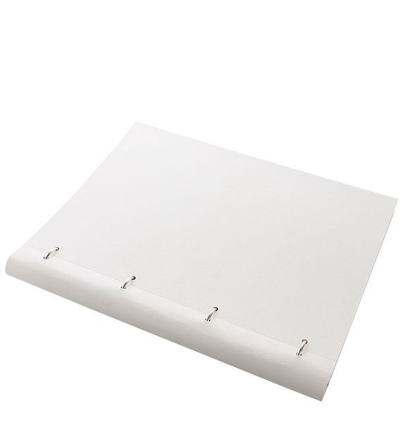 ОрганайзериОрганайзер-блокнот Filofax Clipbook A4 Classic Monochrome, White придбати в Dreamarium