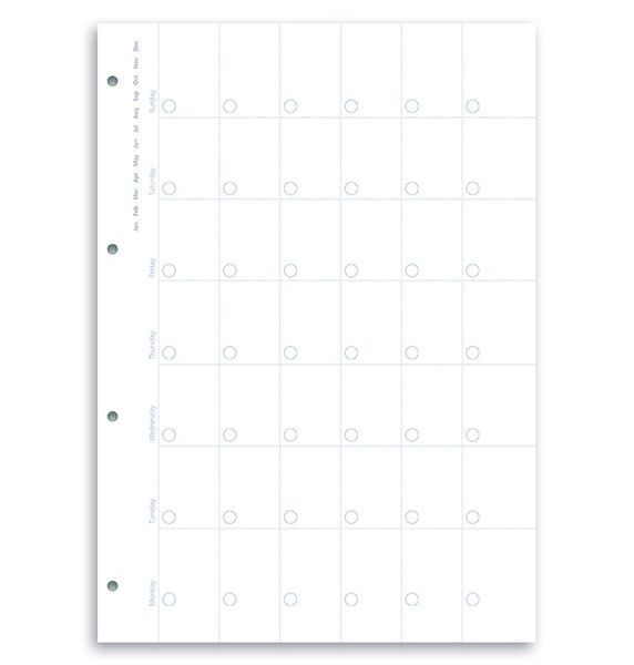 Бланки для органайзерівБланки огляд місяця недатовані Filofax (Clipbook), A4, білі придбати в Dreamarium