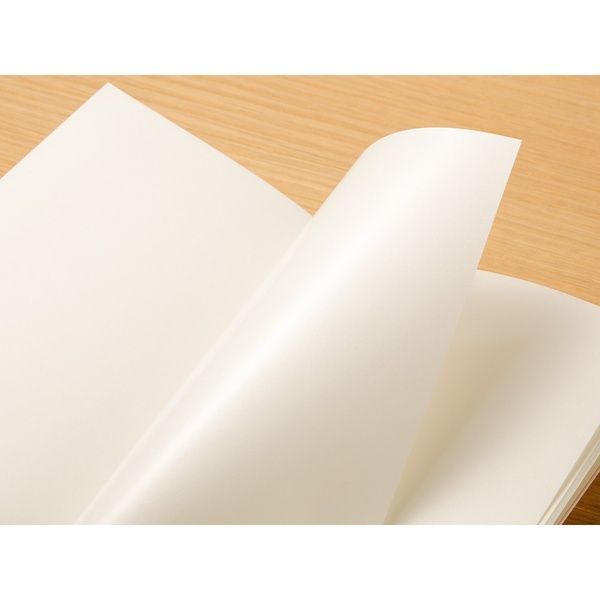 Traveler's NotebookЗмінний блокнот для TRAVELER'S notebook, Passport Size, папір для стікерів (017) придбати в Dreamarium