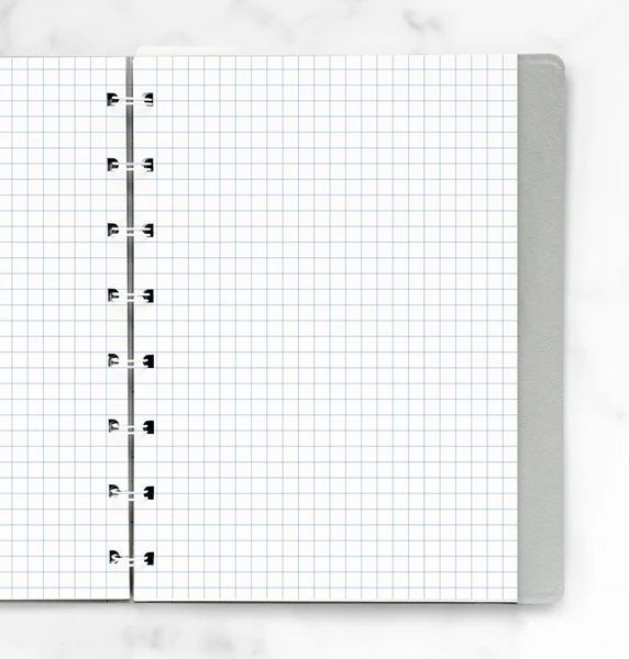 Блокноти зі змінними аркушамиБланки в клітинку для блокноту Filofax, A5, білі придбати в Dreamarium
