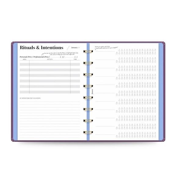 Блокноти зі змінними аркушамиБлокнот-планер Filofax Ultimate Life Companion, My Plans Plum, 2027 рік придбати в Dreamarium