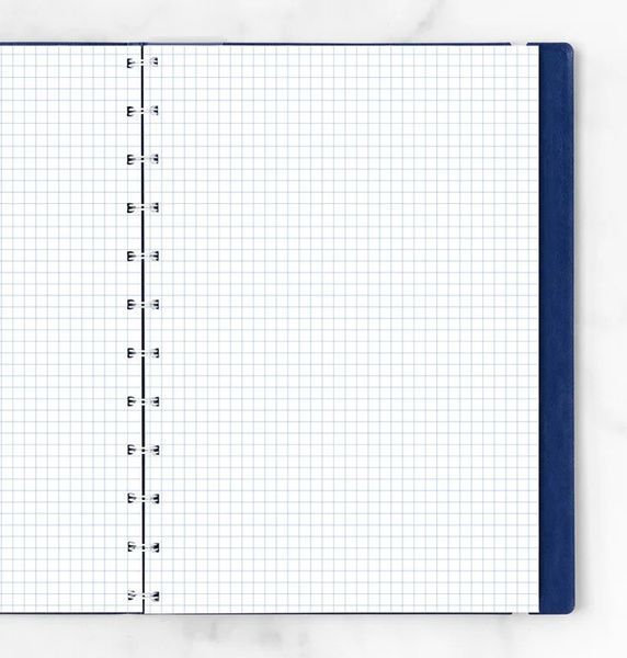 Блокноти зі змінними аркушамиБланки в клітинку для блокноту Filofax, A4, білі придбати в Dreamarium