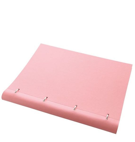 ОрганайзериОрганайзер-блокнот Filofax Clipbook A4 Classic Pastels, Rose придбати в Dreamarium